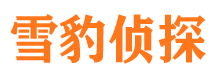 东海岛市侦探公司